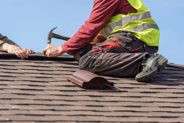 Best Roof Leak Repair  in Roselle, IL