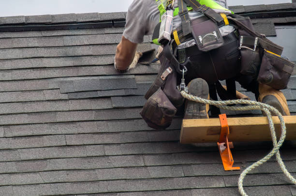 Best Flat Roof Repair Services  in Roselle, IL