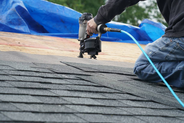 Best Commercial Roofing Services  in Roselle, IL